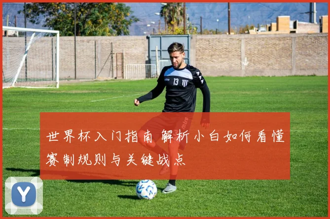 世界杯入门指南 解析小白如何看懂赛制规则与关键战点
