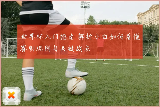 世界杯入门指南 解析小白如何看懂赛制规则与关键战点
