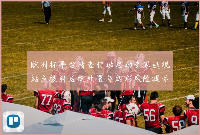欧洲杯平台清查行动启动多家违规站点被封后续处置与购彩风险提示