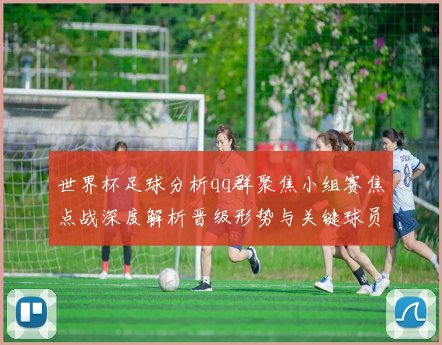 世界杯足球分析qq群聚焦小组赛焦点战深度解析晋级形势与关键球员表现