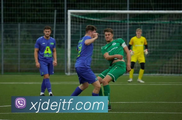 APP界面展示
